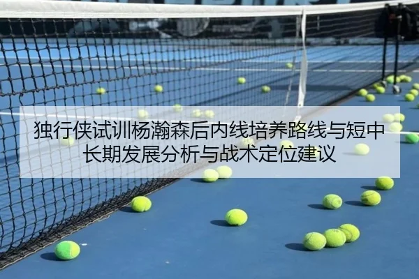 独行侠试训杨瀚森后内线培养路线与短中长期发展分析与战术定位建议